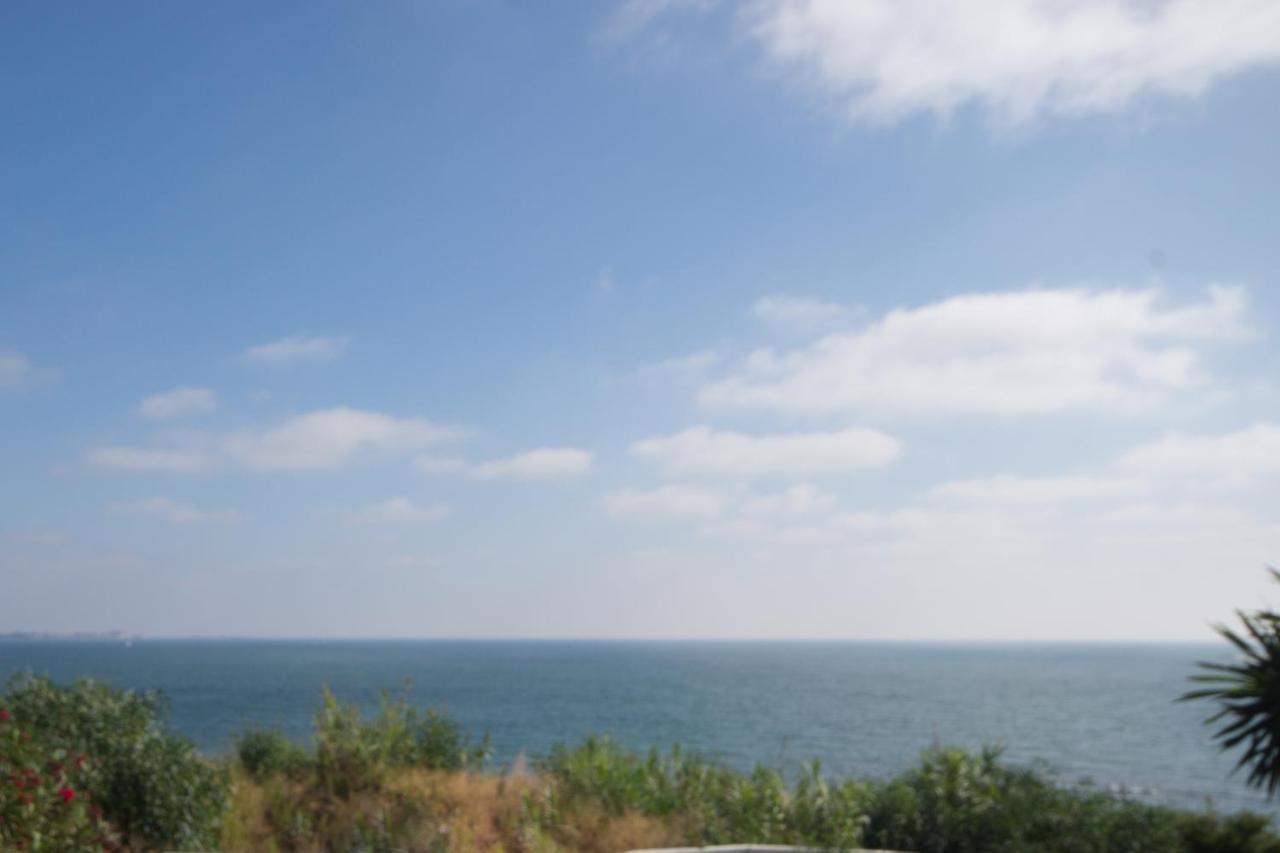 Villa Sotavento 엘푸에르토데산타마리아 외부 사진